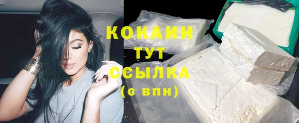 дживик Аркадак