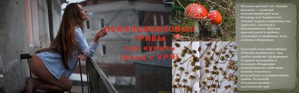 spice Арсеньев
