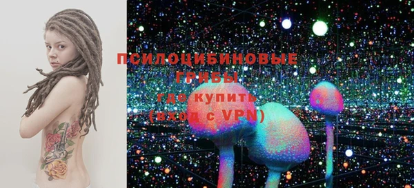 spice Арсеньев