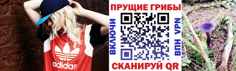 Галлюциногенные грибы ЛСД  Полысаево 